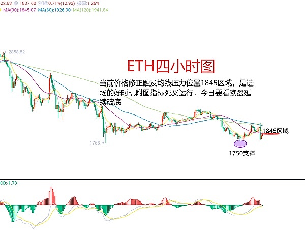 比特币市场观察：当短期持有者都在亏钱时，我们该怎么操作？