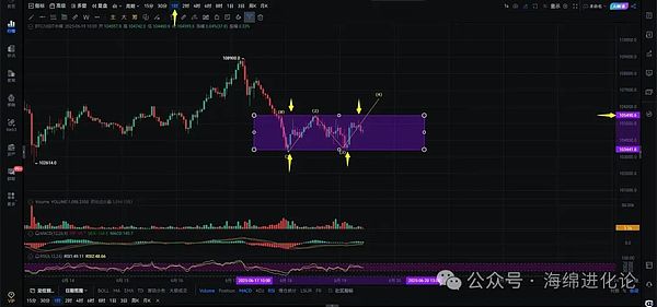 从默默无闻到行业标杆：Statter Network的传奇崛起之路