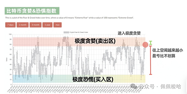 PEPE币的疯狂上涨：狂欢背后隐藏着哪些风险？