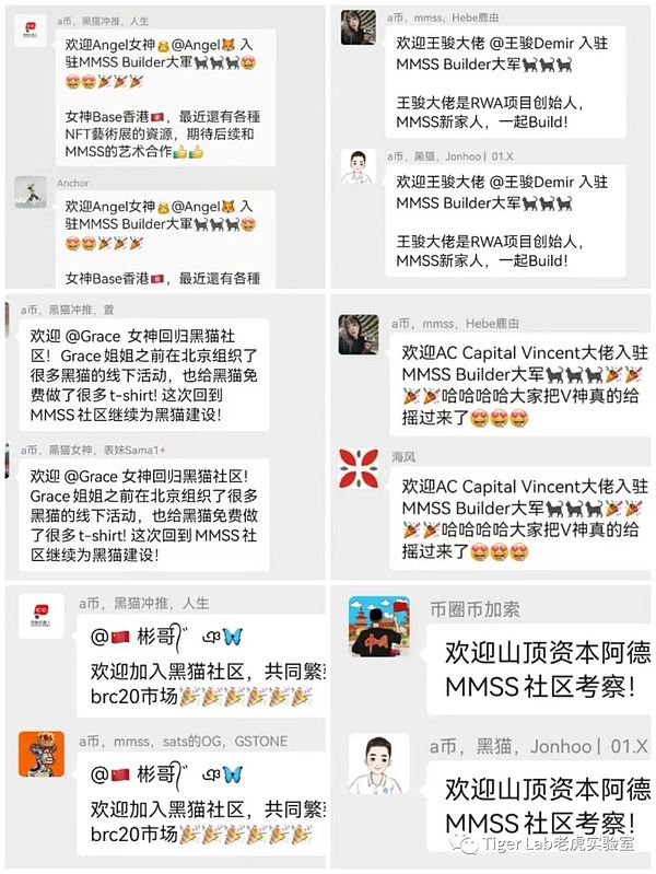 一个交易老兵的十年心路
