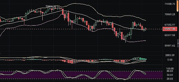 区块链行业的新宠：那些被巨头相中的潜力币种