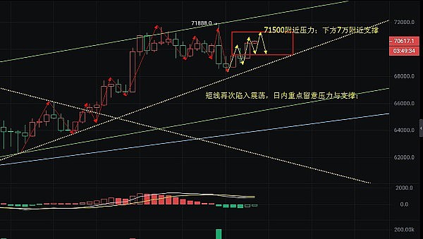 揭开NFT骗局的真面目：一位投资者的血泪教训