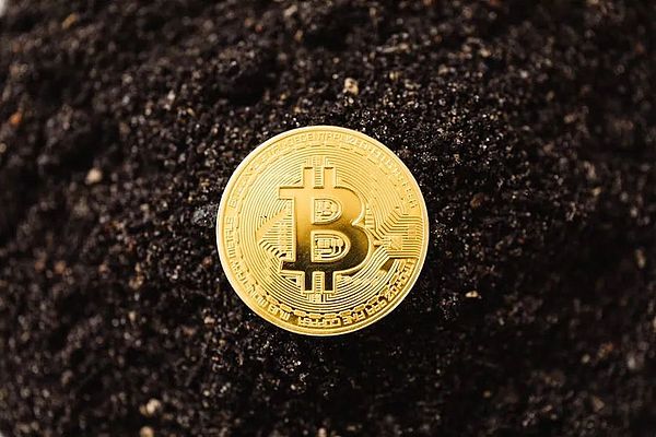 数字小国的加密雄心：爱沙尼亚还能否继续当区块链天堂？