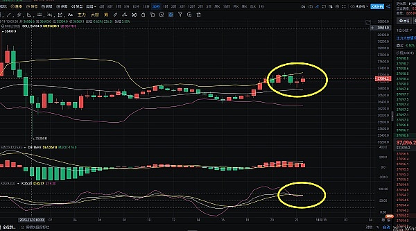 当NFT遇见现实：BAYC如何重塑艺术与社群边界