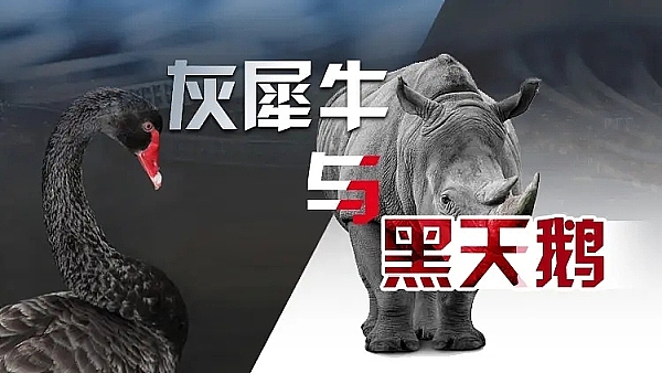 市场随笔：急涨未必稳，慢牛才是真