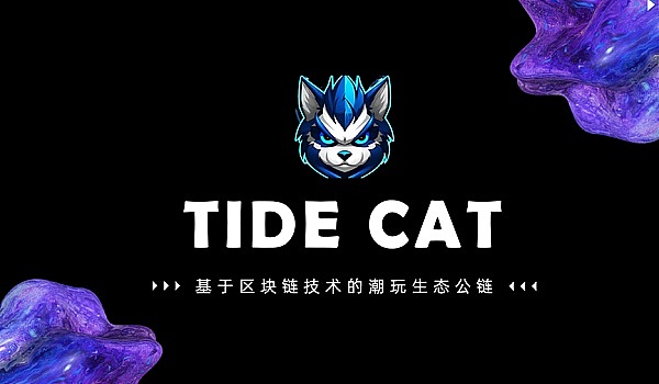 11月24日：比特币与以太坊的市场脉搏
