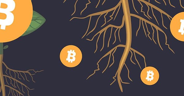 比特币惊现闪崩！41000美元防线失守，抄底时机真的到了吗？