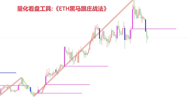 当比特币遇上乔·罗根：一场关于货币未来的精彩对话
