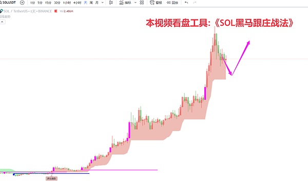 鲸鱼悄悄囤货，比特币大佬玩出新花样！市场风口你嗅到了吗？