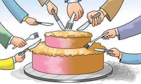 11月30日市场观察：行动派的财富密码