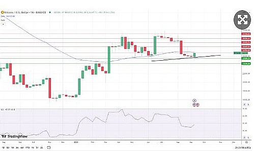区块链数据革命来临！BitsCrunch项目深度解析