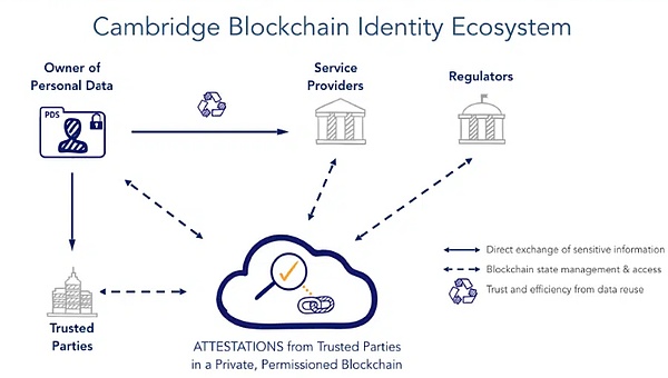 Web3宠物社交赛道迎来重磅玩家：Blockchain Capital豪掷千万押注PetCat